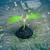 Using GreenOps to Improve Your Operational Efficiency and Save the Planet