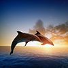 Embracing Cloud-Native for Apache DolphinScheduler with Kubernetes: a Case Study